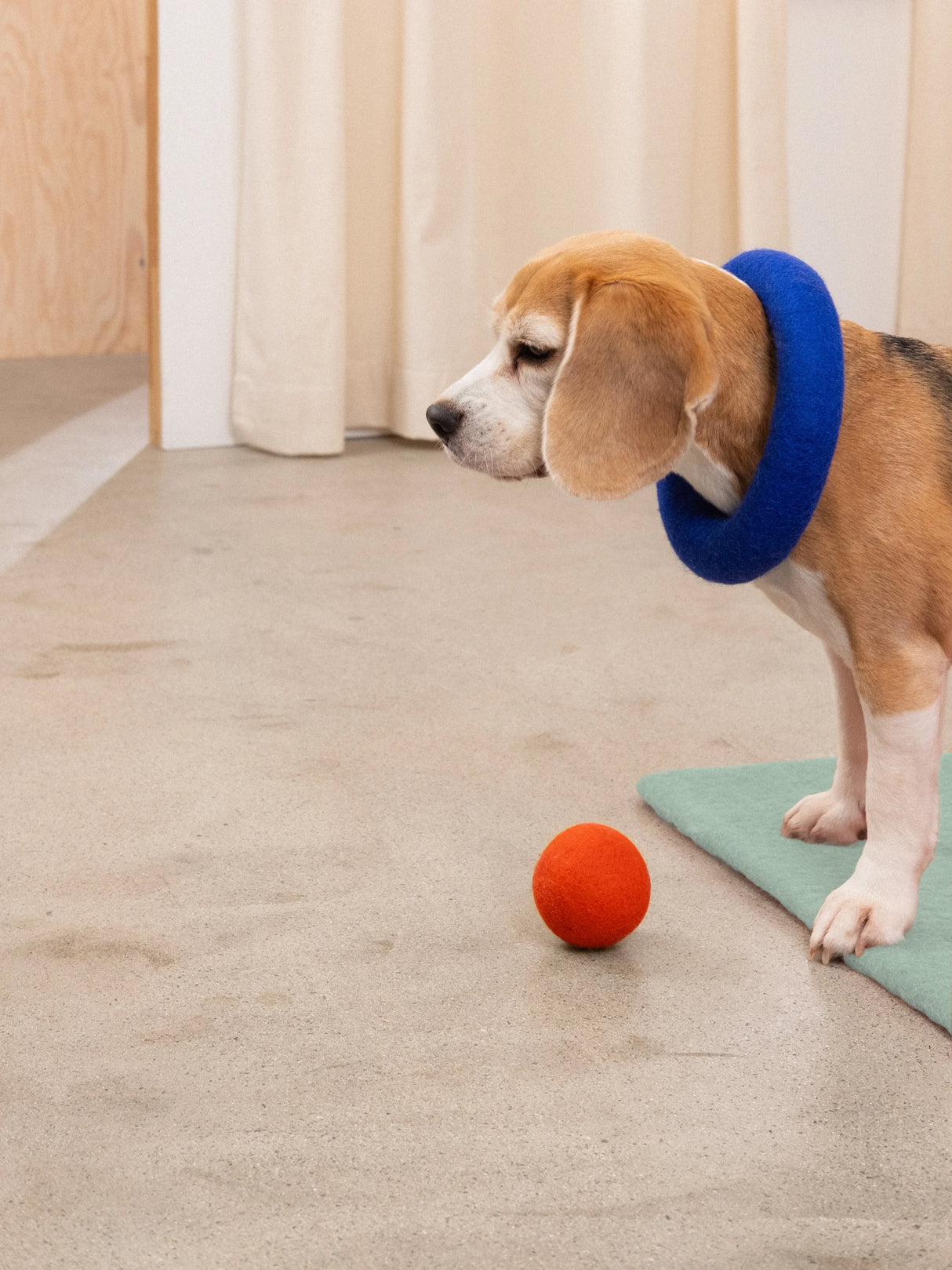FINE & ISA HONDEN BALLENSET