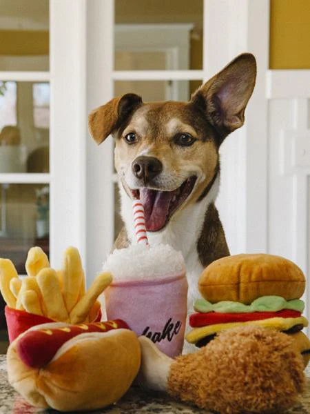 HONDENSPEELTJE - KIPPENBOUT