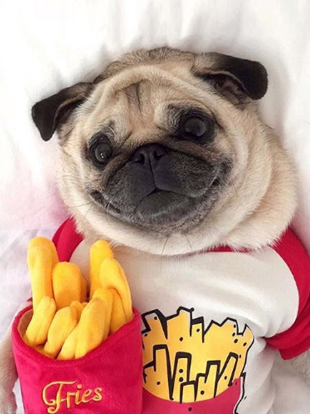 HONDENSPEELTJE - FRIETEN