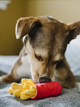 HONDENSPEELTJE - FRIETEN