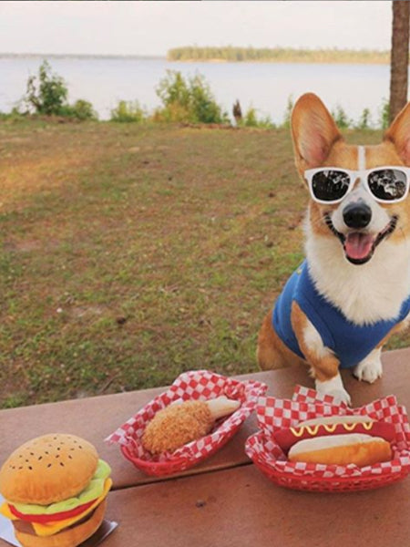 HONDENSPEELTJE - HOT DOG