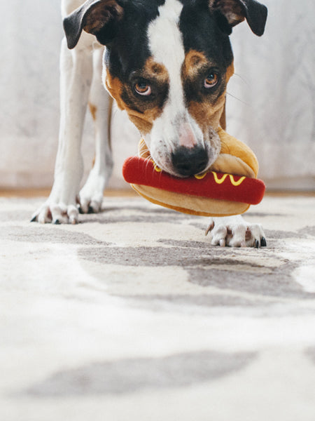 HONDENSPEELTJE - HOT DOG