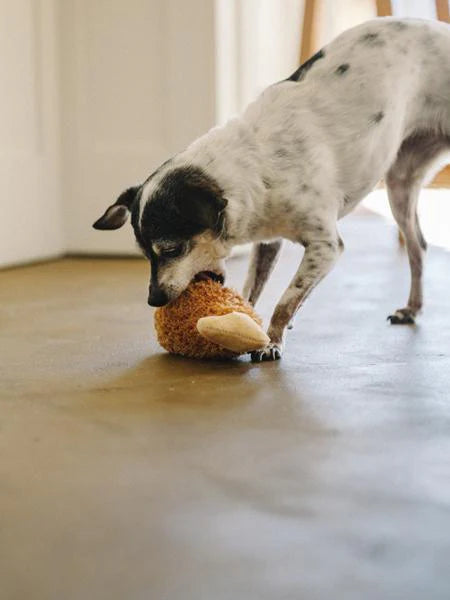 HONDENSPEELTJE - KIPPENBOUT