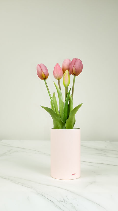 TULIP EVER AFTER - PINK