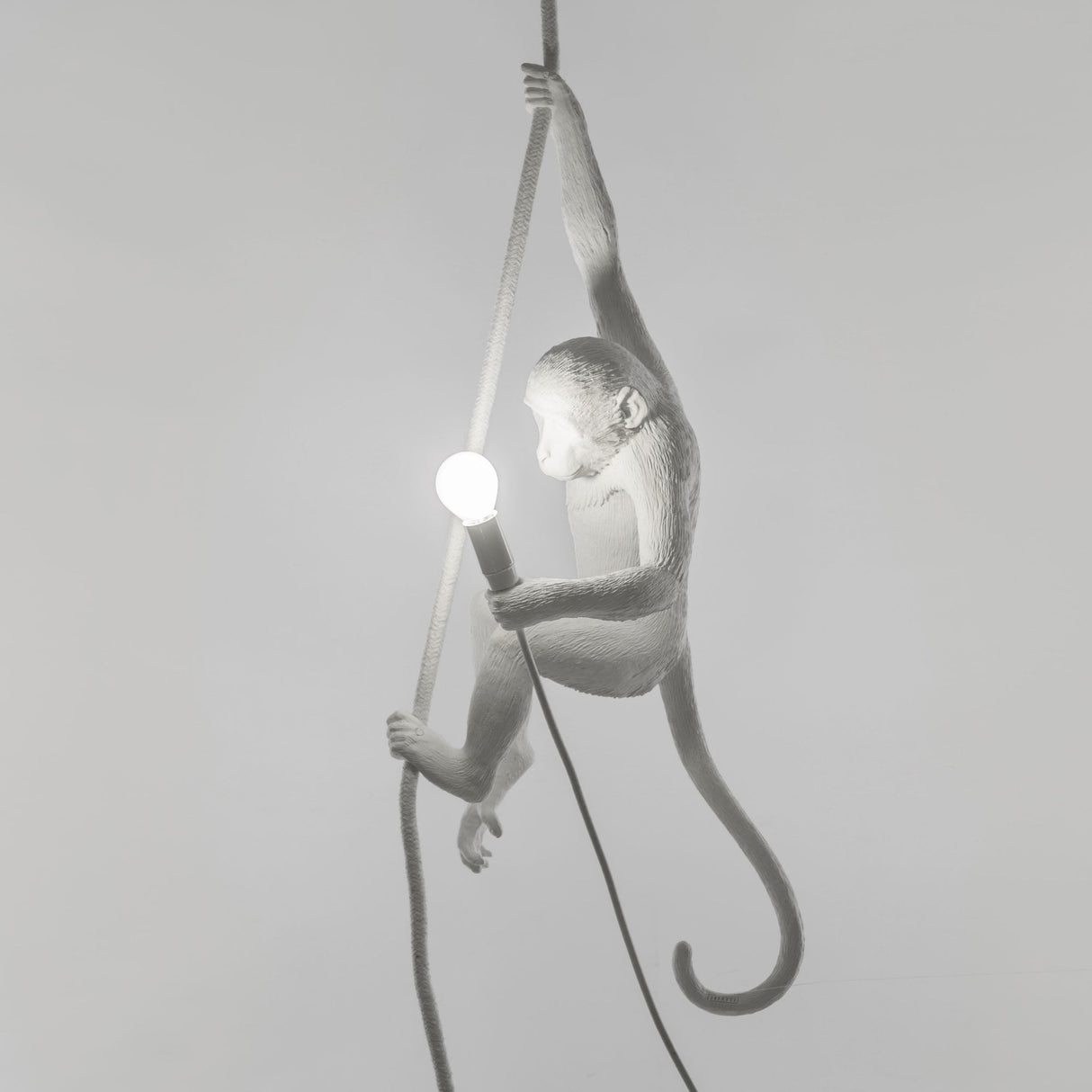 MONKEY HANGLAMP MET TOUW / WIT