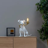 RIO LAMP