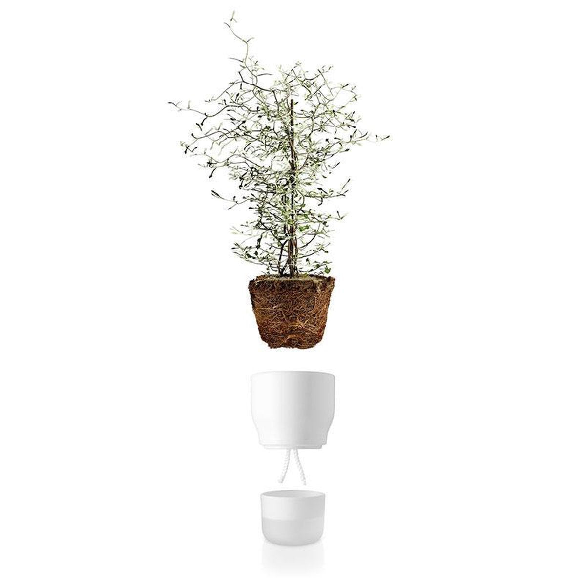 EVA SOLO BLOEMPOT