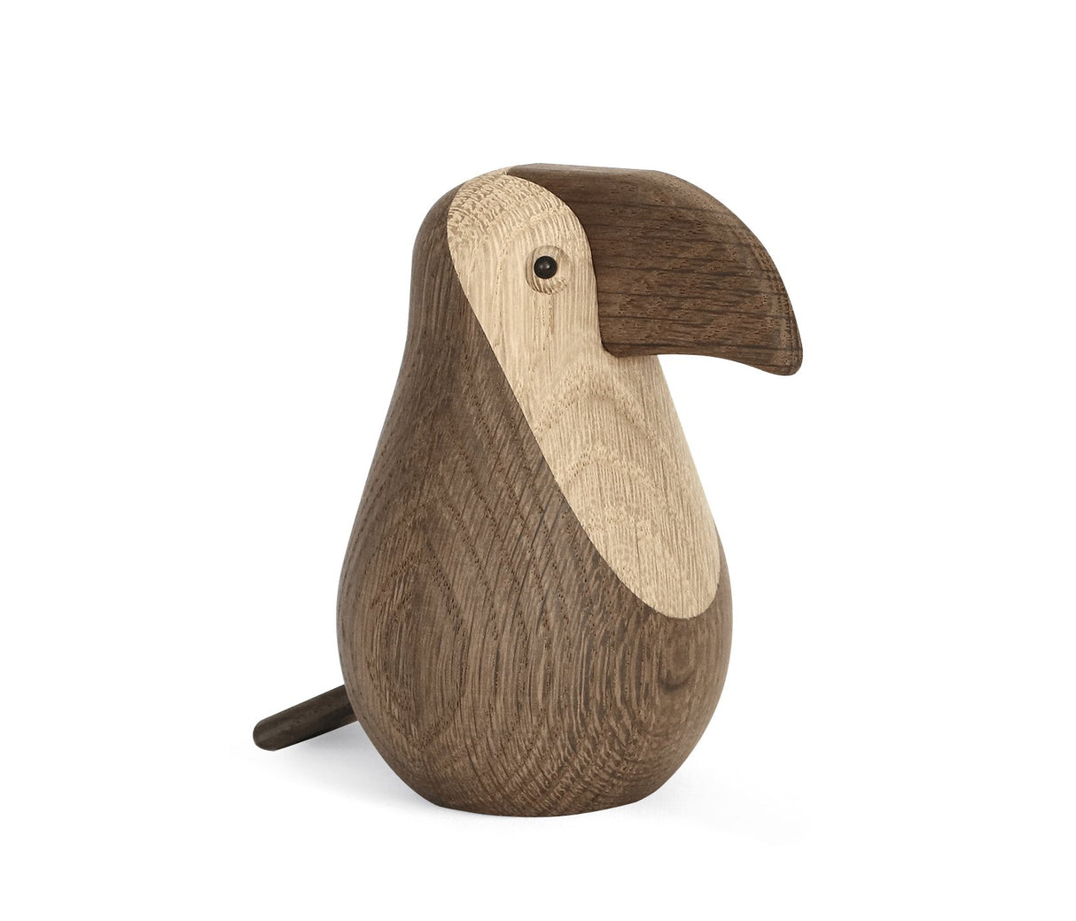 TOUCAN