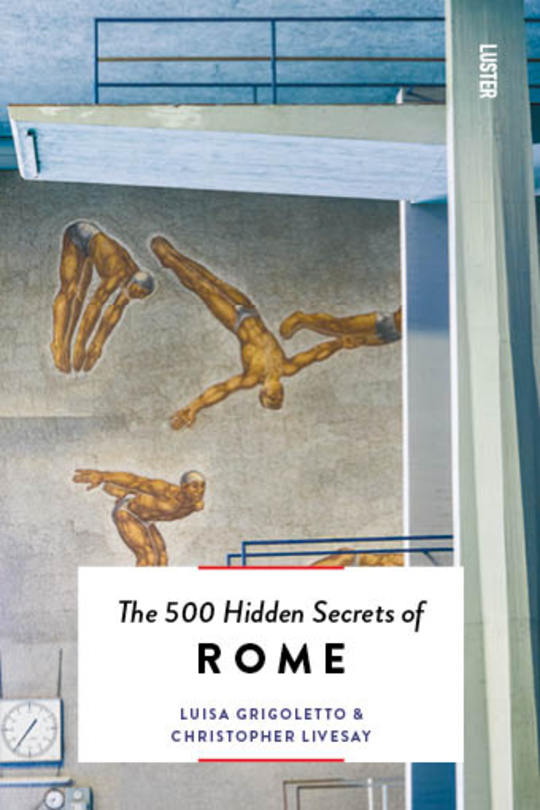 BOEK THE HIDDEN SECRETS OF ....