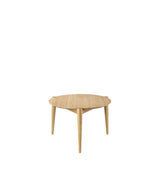 D102 SALONTAFEL - NATUUREIK
