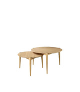 D102 SALONTAFEL - NATUUREIK