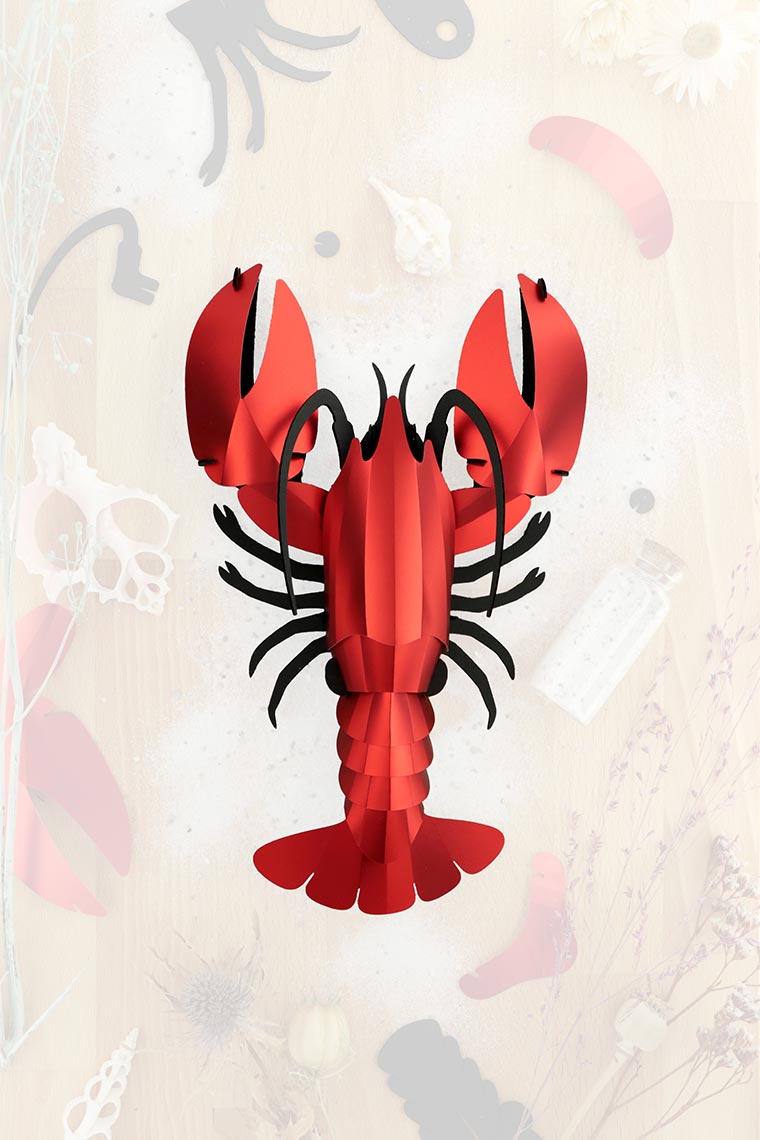 3D PUZZEL KREEFT