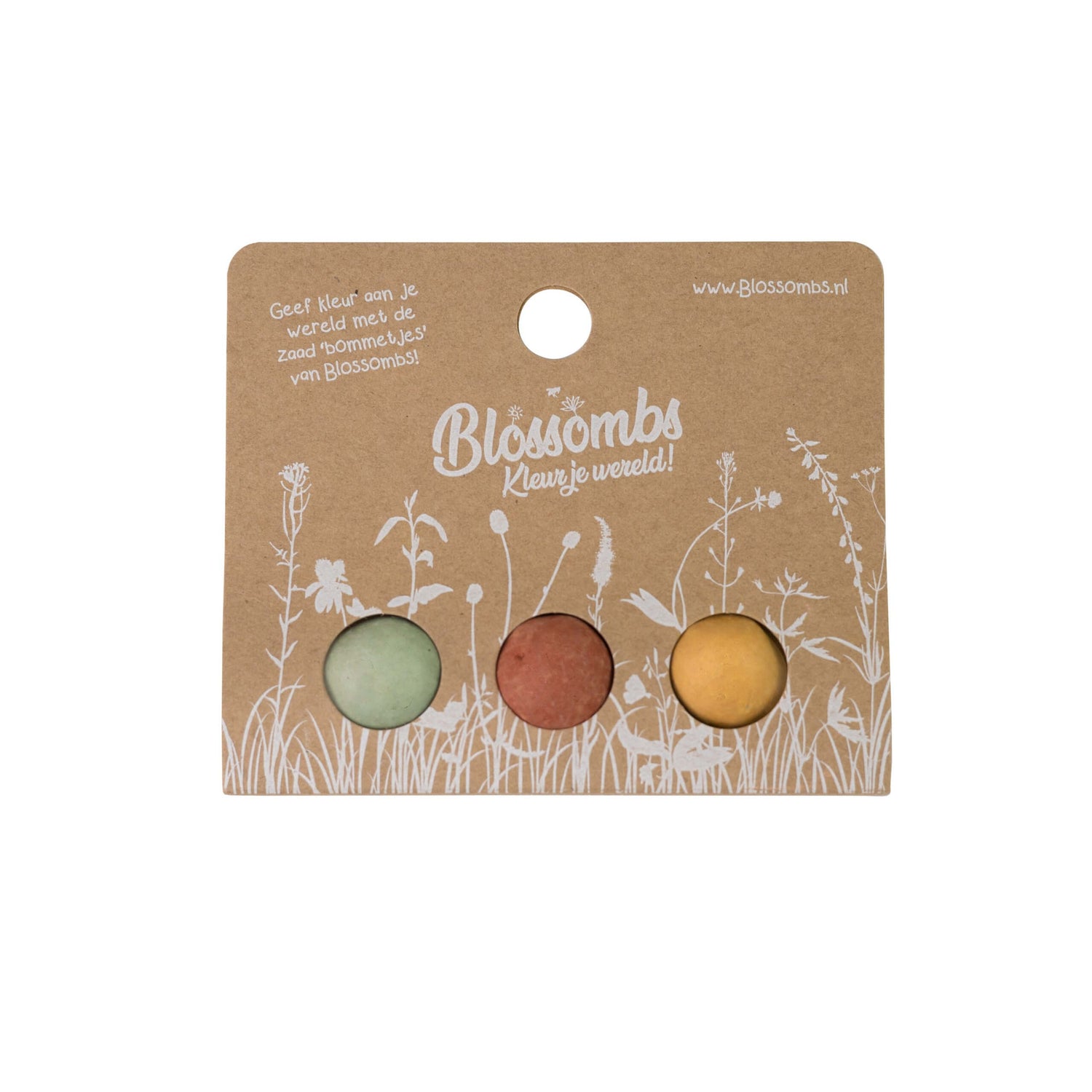 BLISTER VAN 3 BLOSSOMBS