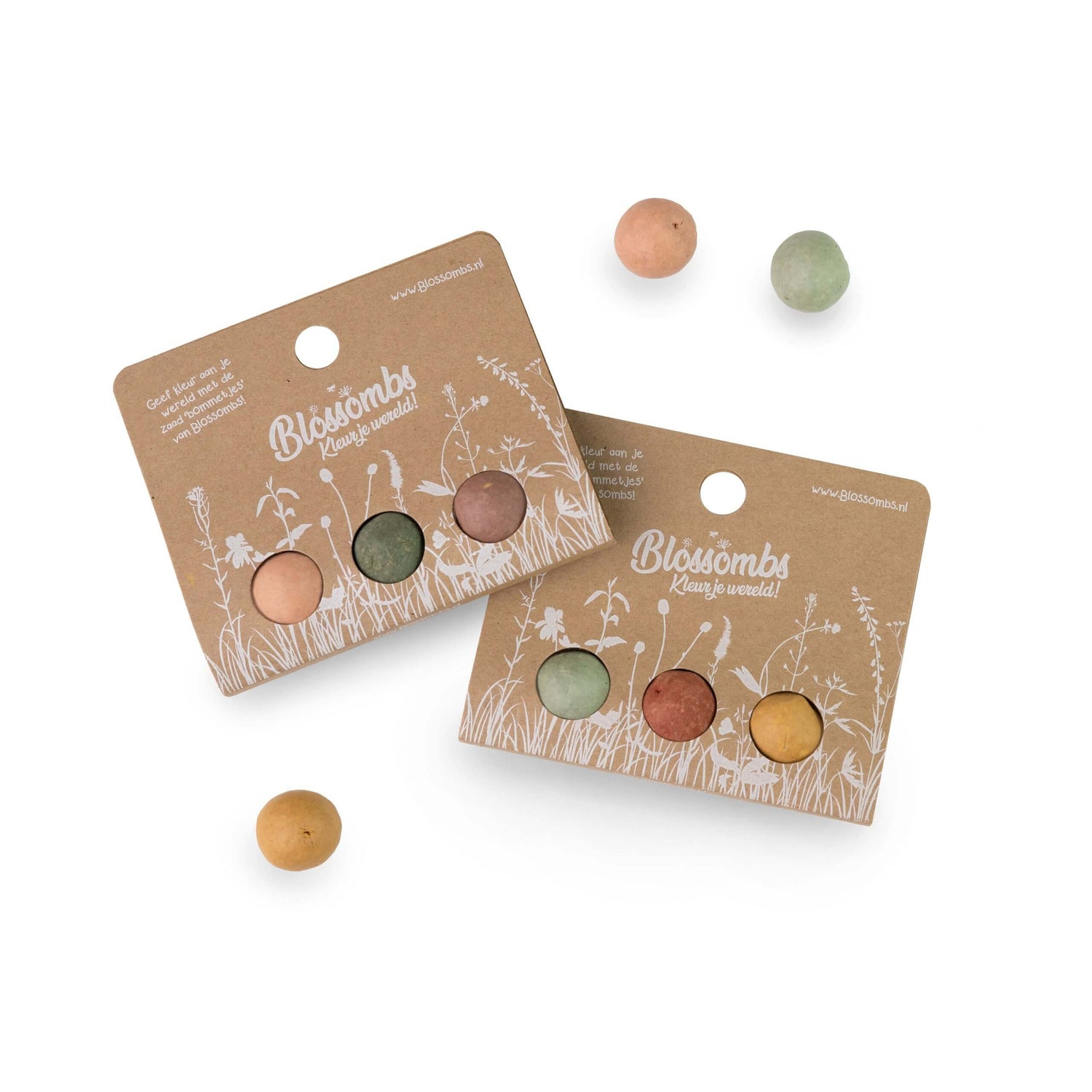 BLISTER VAN 3 BLOSSOMBS