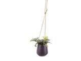 HANGPOT - M/DONKERPAARS