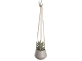 HANGPOT - S/ROZE