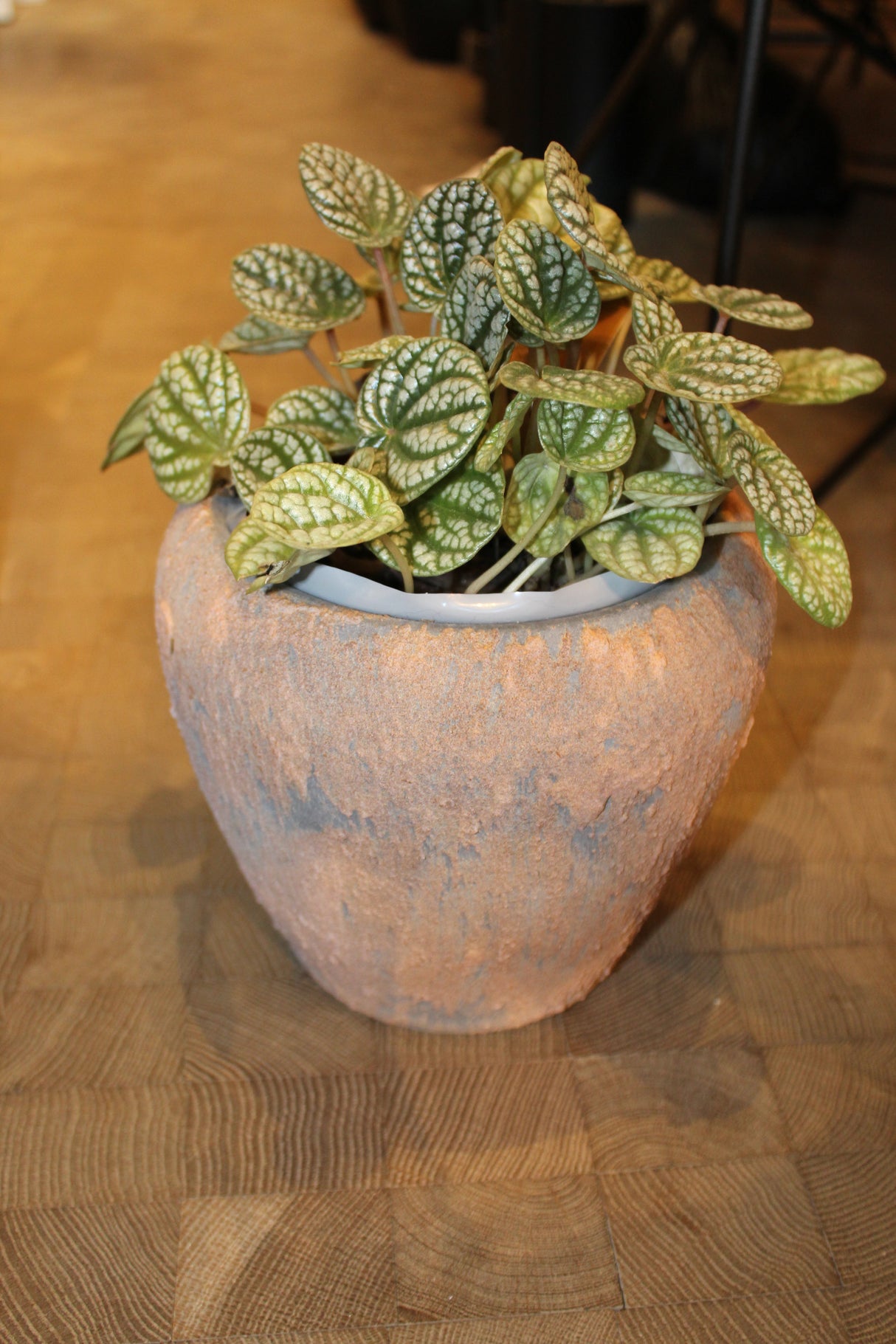 DM DEPOT POT LAVA BRUIN SMALL