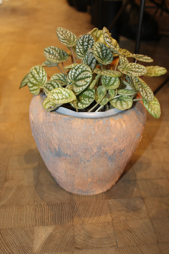 DM DEPOT POT LAVA BRUIN SMALL