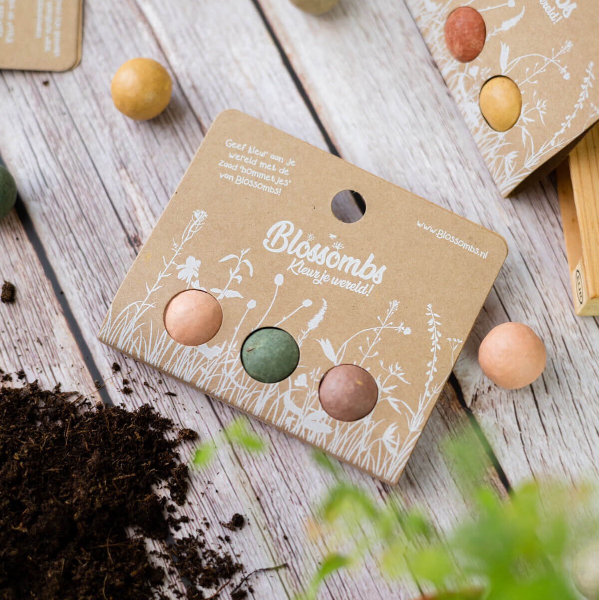 BLISTER VAN 3 BLOSSOMBS