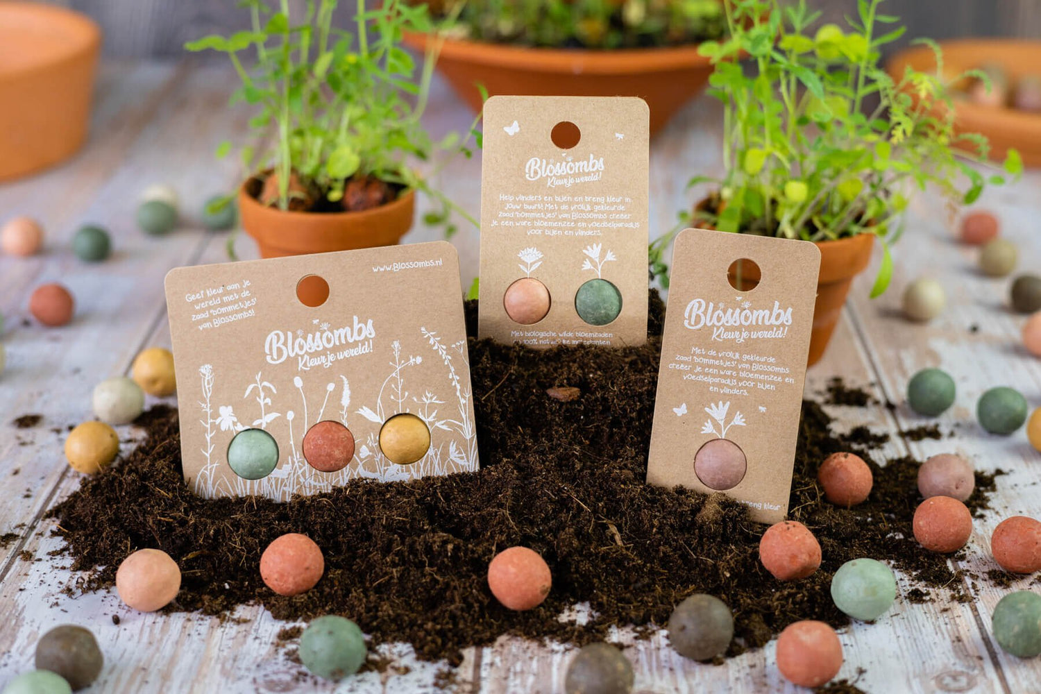 BLISTER VAN 3 BLOSSOMBS