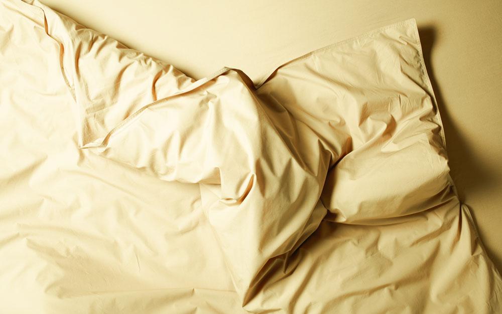 EENPERSOONS DEKBEDOVERTREK + KUSSENSLOOP /  PERCALE KATOEN