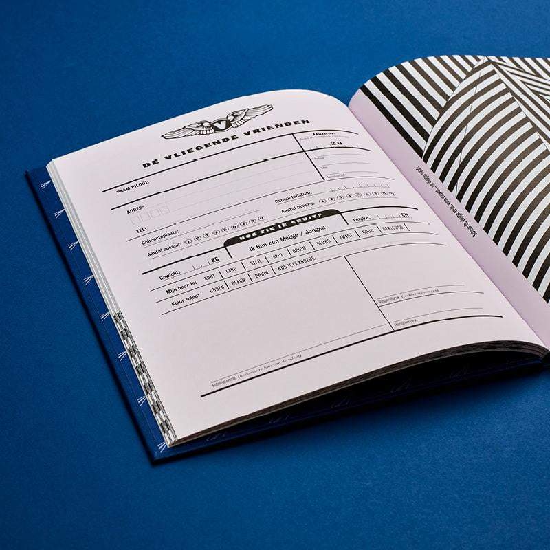 BOEK DE VLIEGENDE VRIENDEN