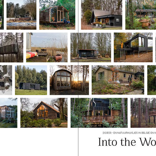 INTO THE WOODS