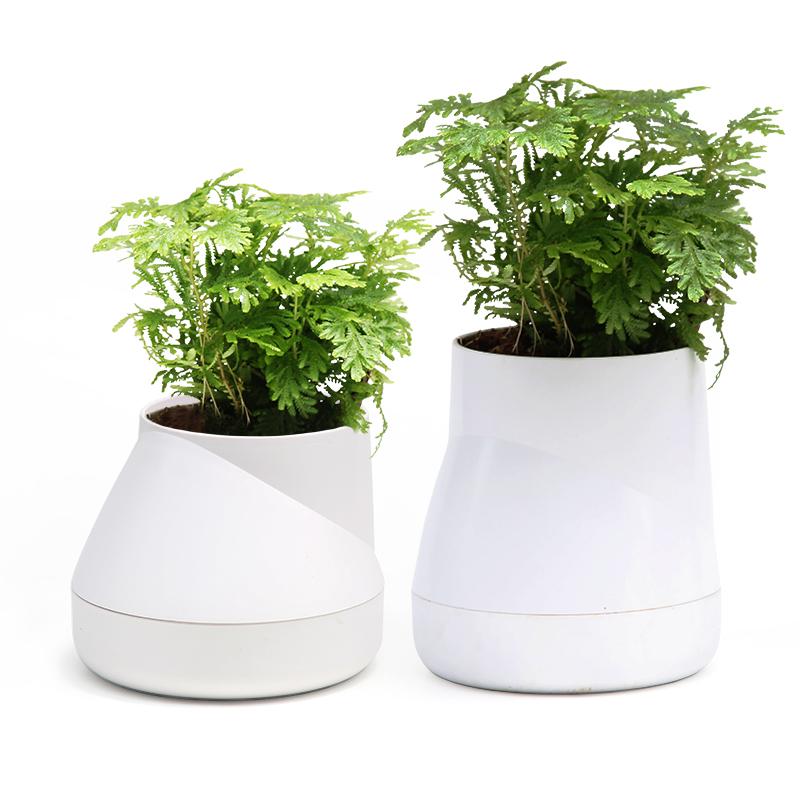 HILL BLOEMPOT LARGE - WIT