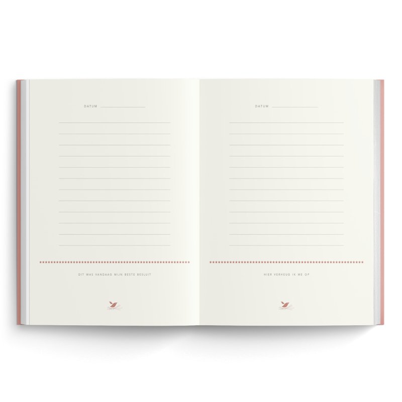 DAGBOEK VOOR GROTE EN KLEINE HERINNERINGEN