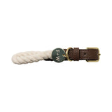 HONDENHALSBAND - WIT SMALL