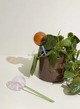 FLORA AQUA GLOBE - ROZE/GROEN