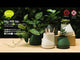 HILL BLOEMPOT LARGE - CREME