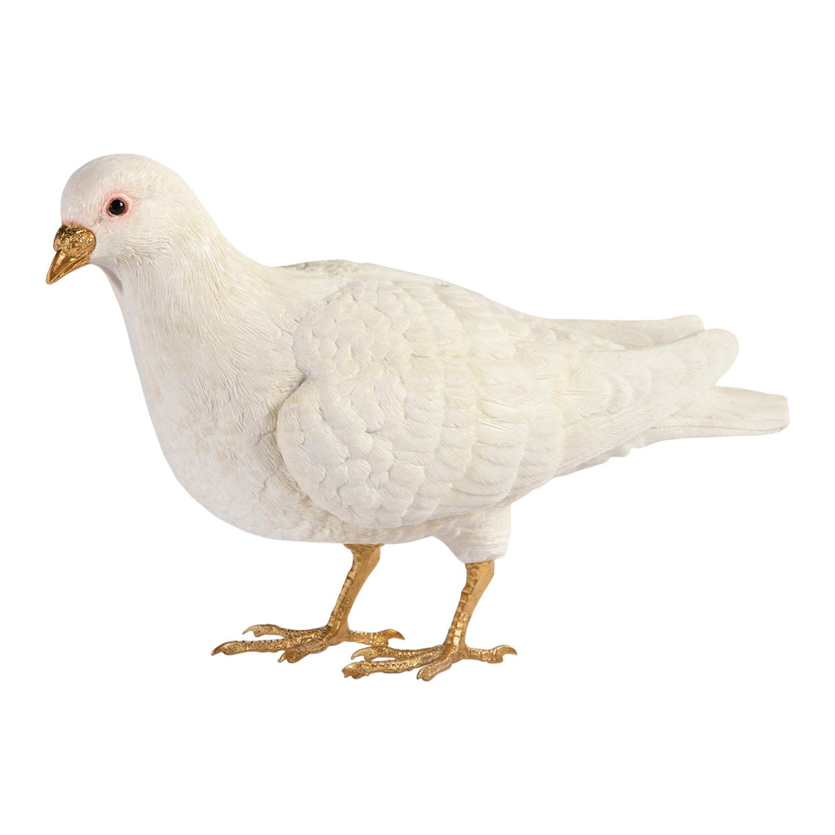 SPAARPOT WHITE PIGEON