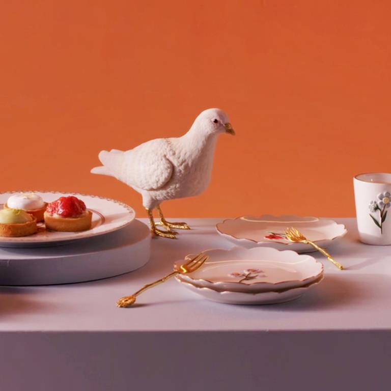 SPAARPOT WHITE PIGEON