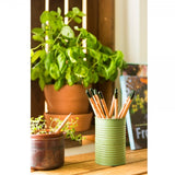 BLOOM PENCIL