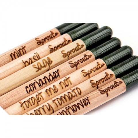 BLOOM PENCIL