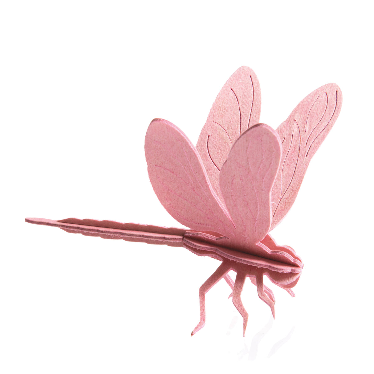 3D PUZZEL LIBELLE