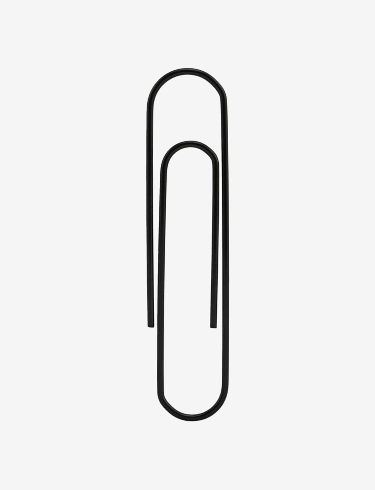 PAPER CLIPS 30 PCS