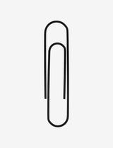 PAPER CLIPS 30 PCS