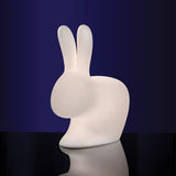 RABBIT CHAIR - LED LAMP