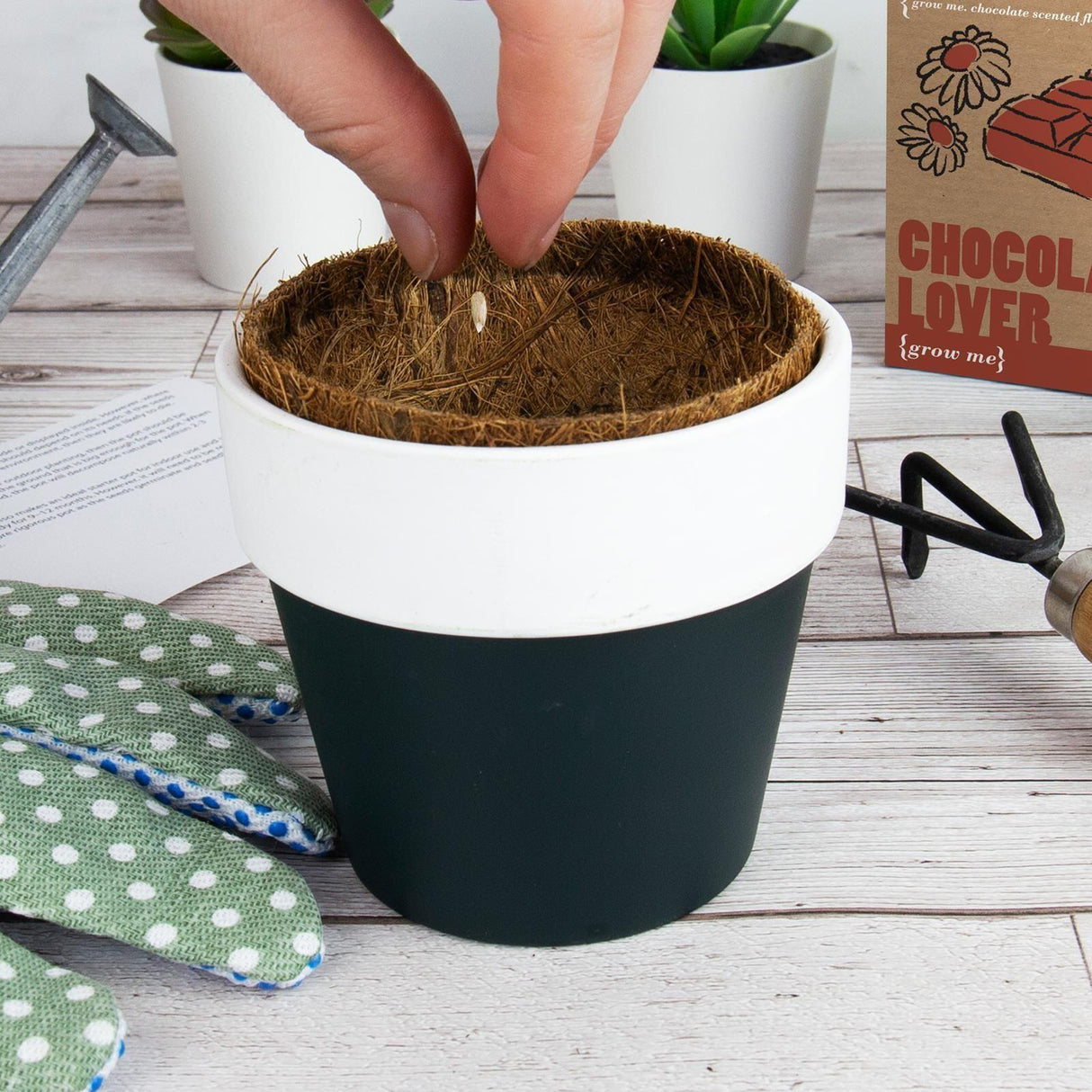 GROW ME - PLANT