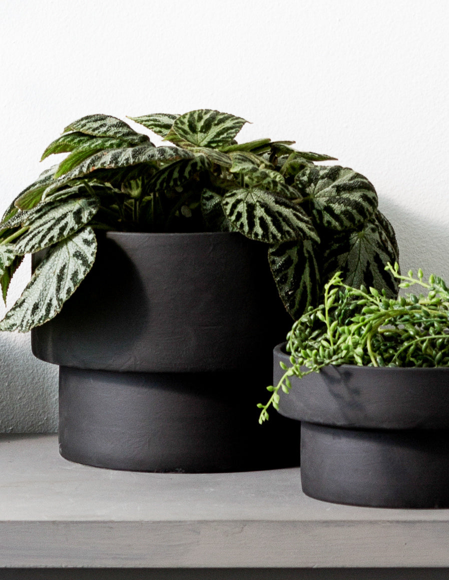 ZAKKIA PODIUM POT