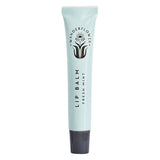 LIPPENBALSEM - FRESH MINT