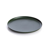 CARRY AWAY DIENBLAD GROEN