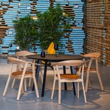 RHOMB TAFEL - FENIX