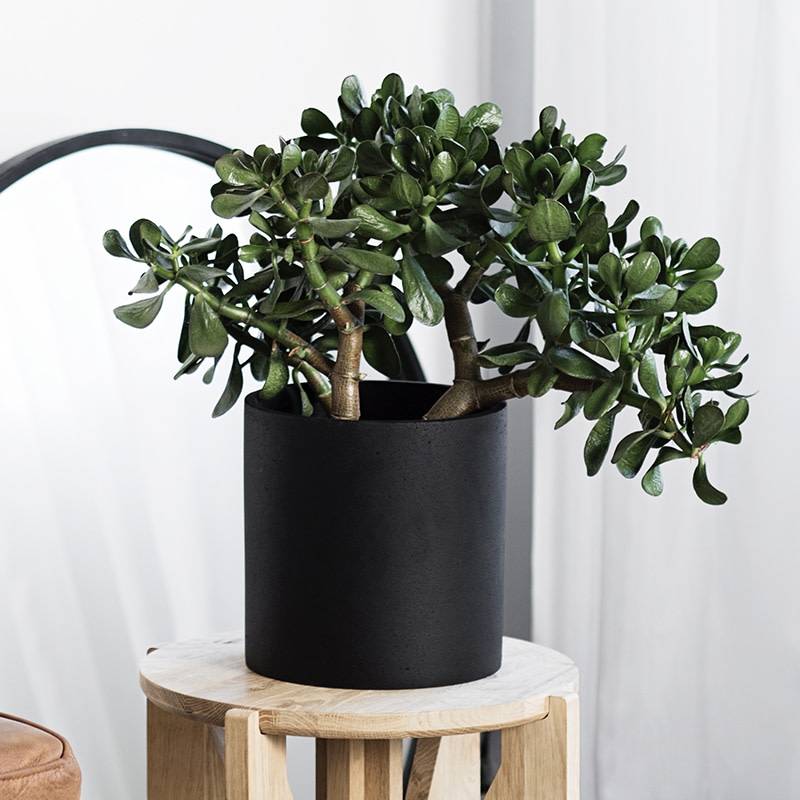 POT BETON